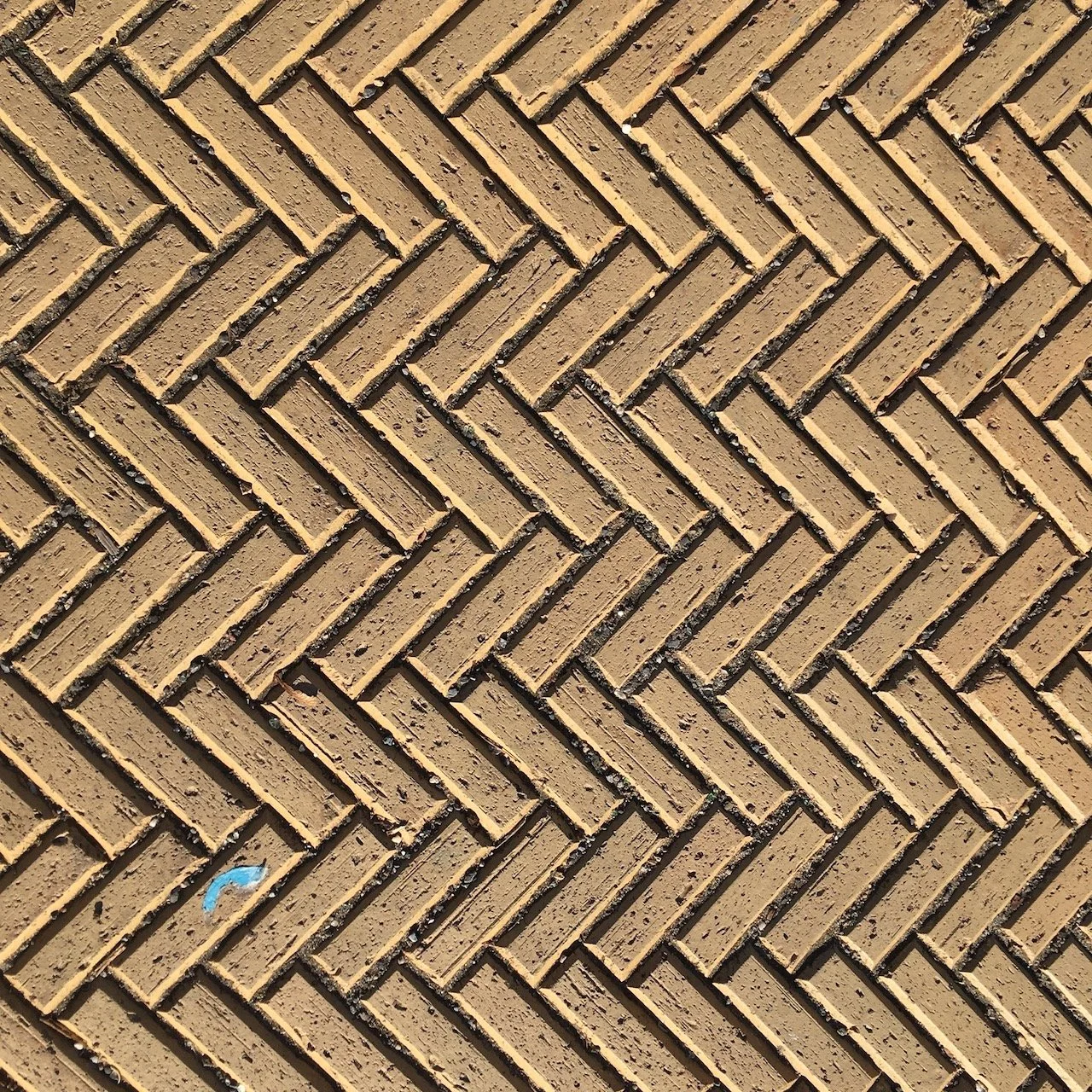 Patterns, Color, Light