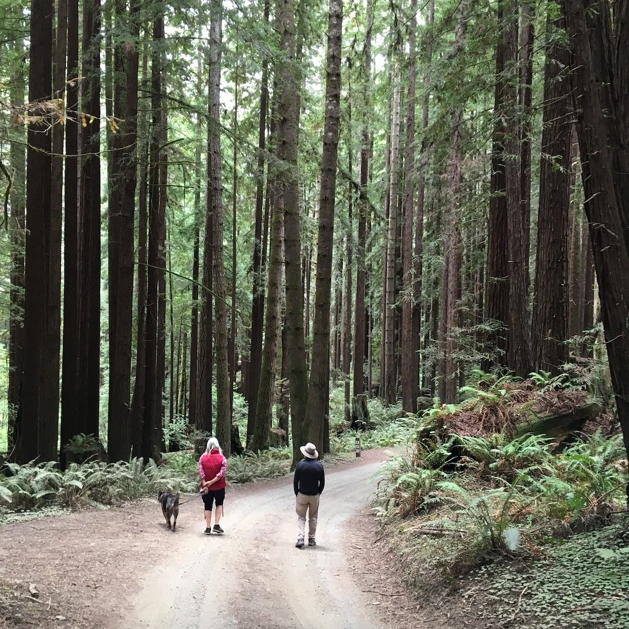 Remember Me? I'm Still Here