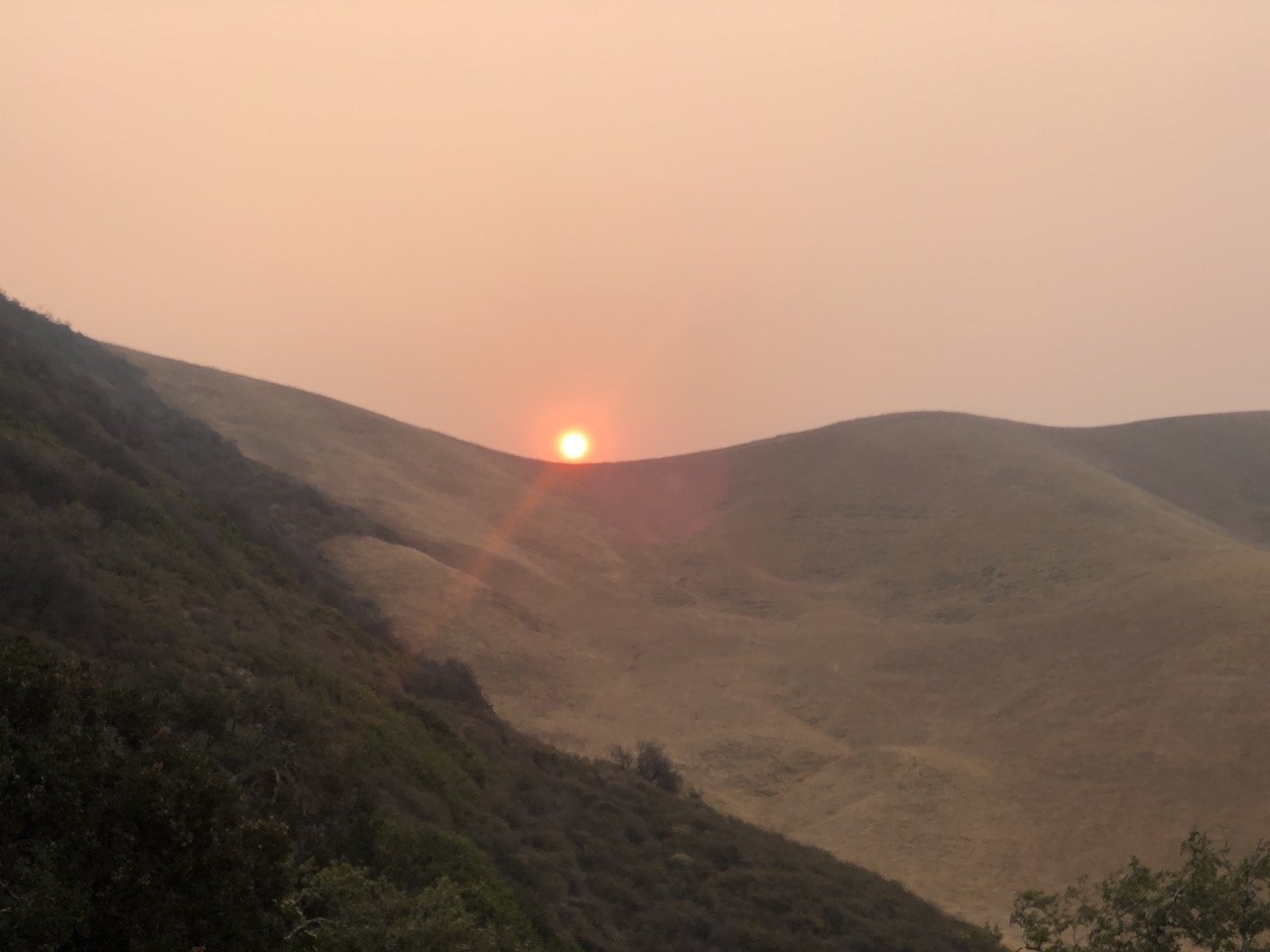 Feeling Like&nbsp;A&nbsp;Leaf