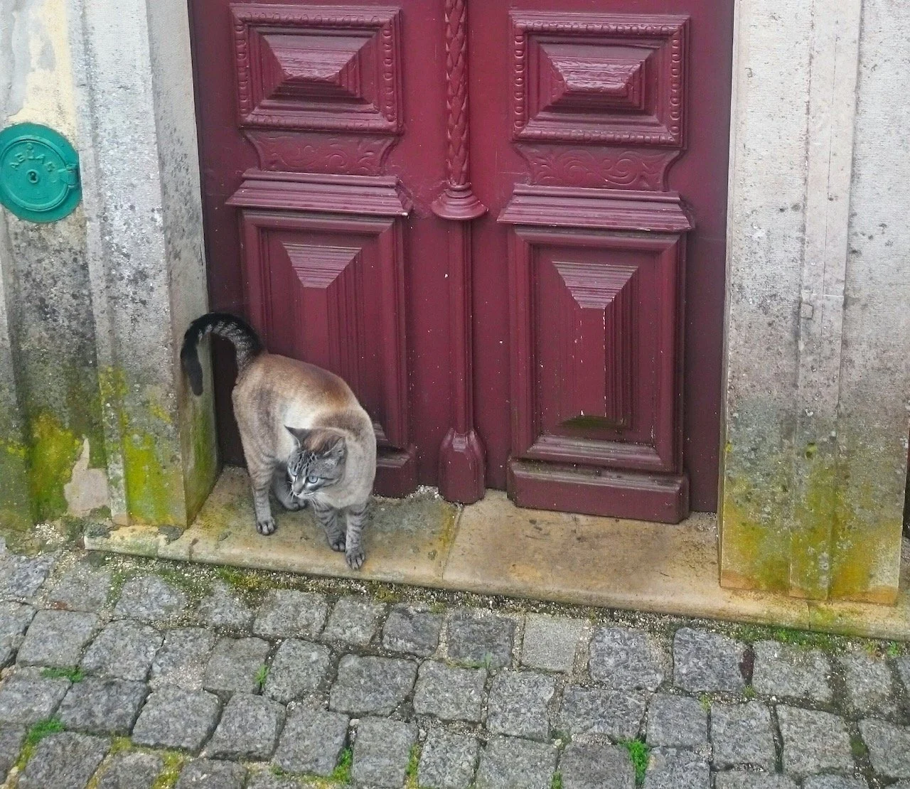 Glimpses of Portugal