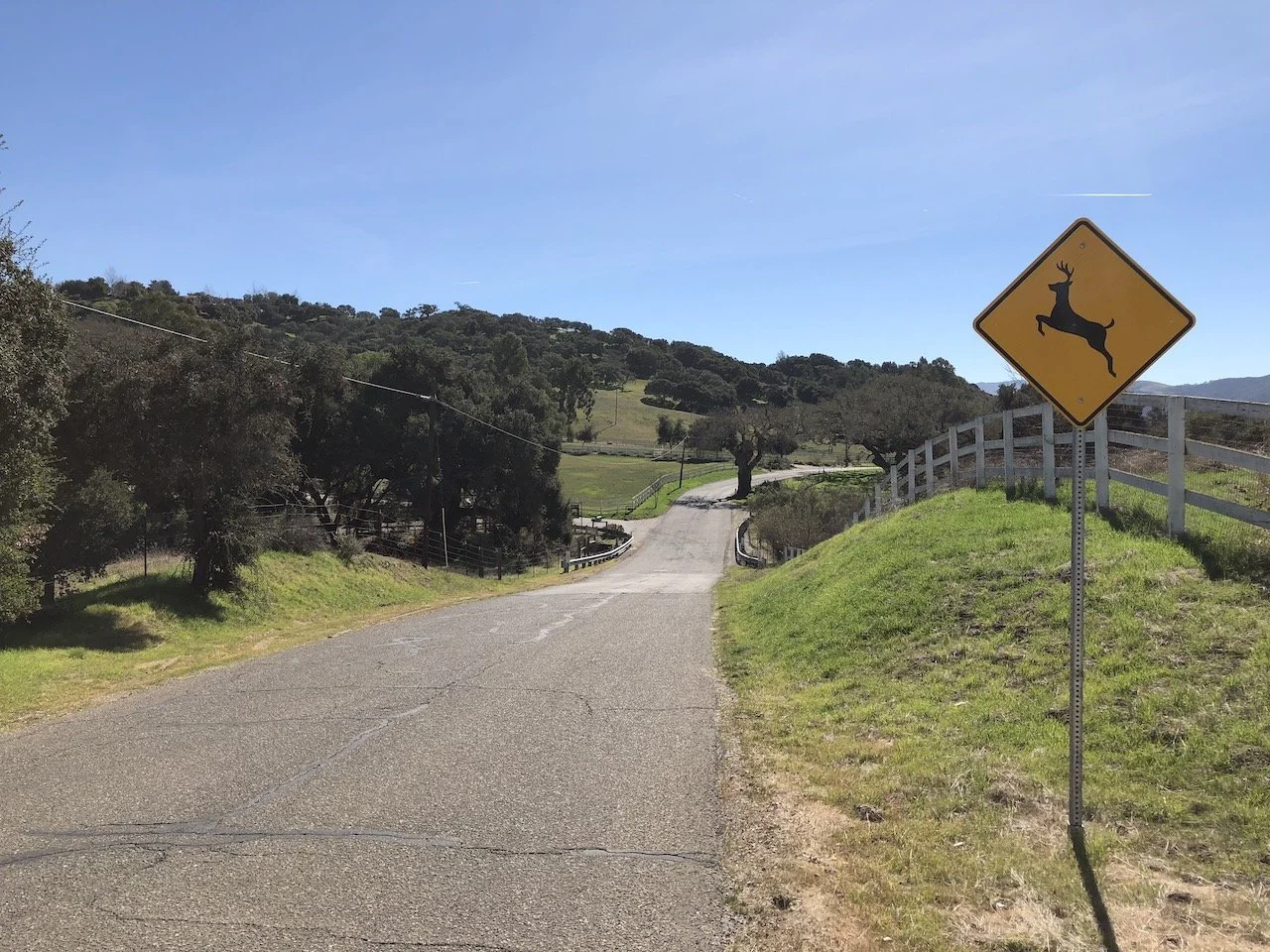 Just Pedaling Along Here and&nbsp;There