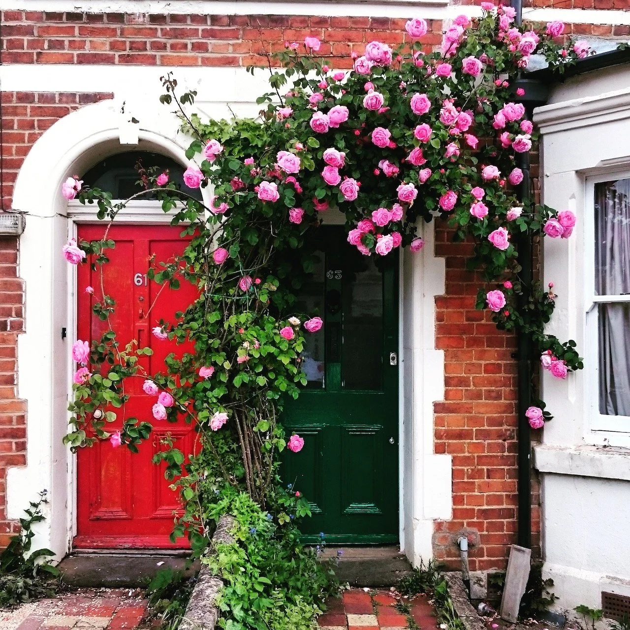 Passing&nbsp;Through