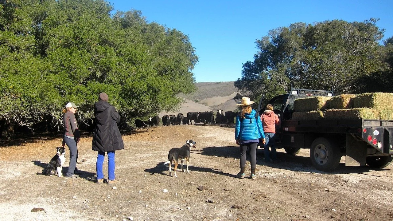 One of Those "I Love My Life" Moments