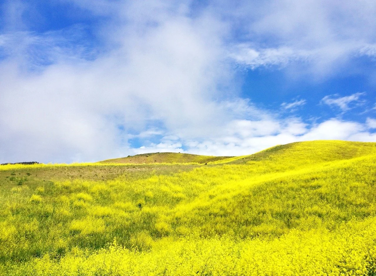 Spring, Fully