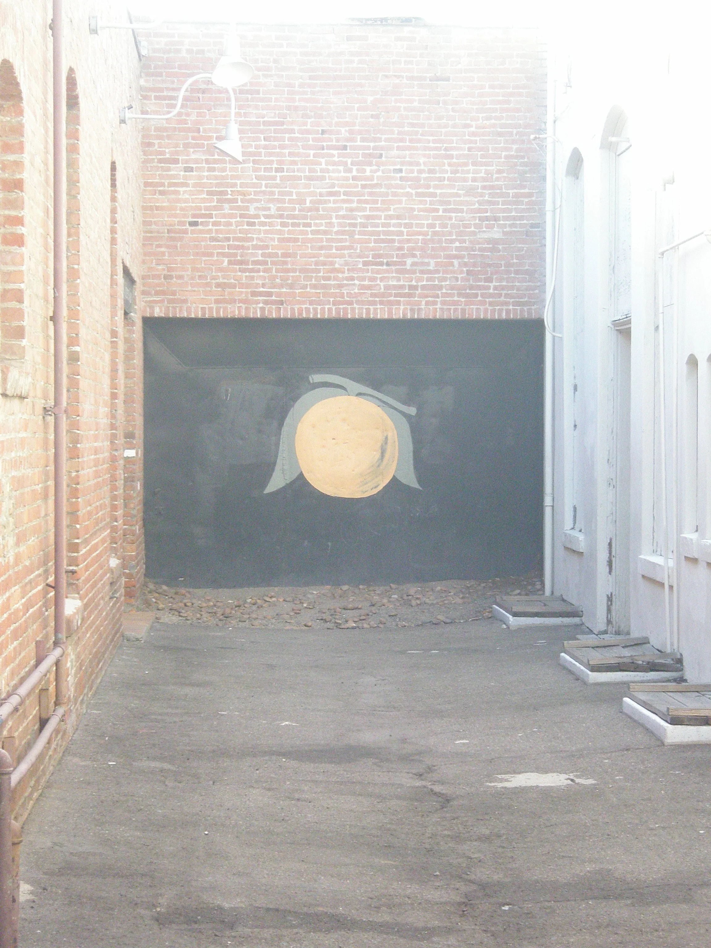 Being Cindy: Rose-Colored Glasses in Orange County