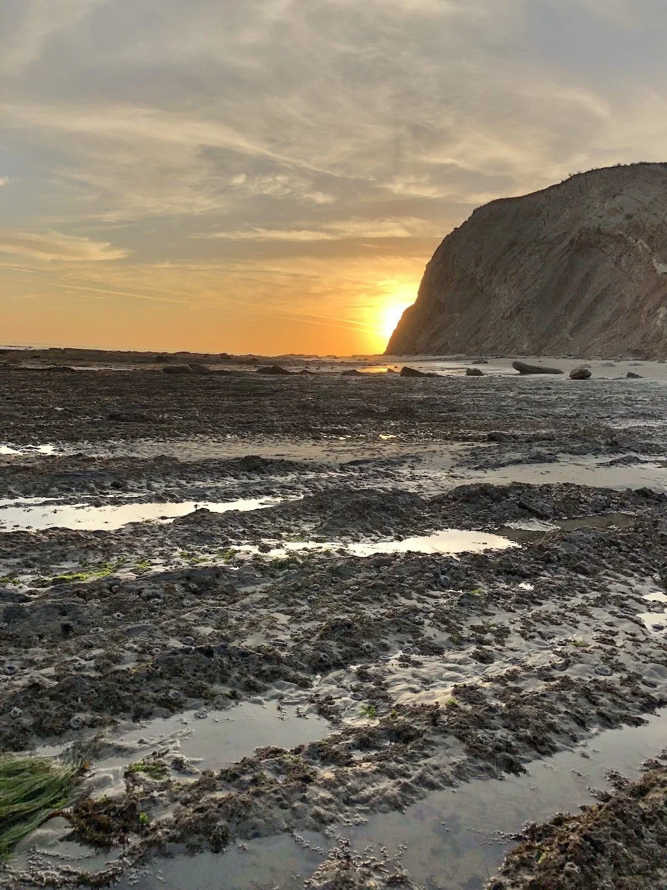 Searching for The Key