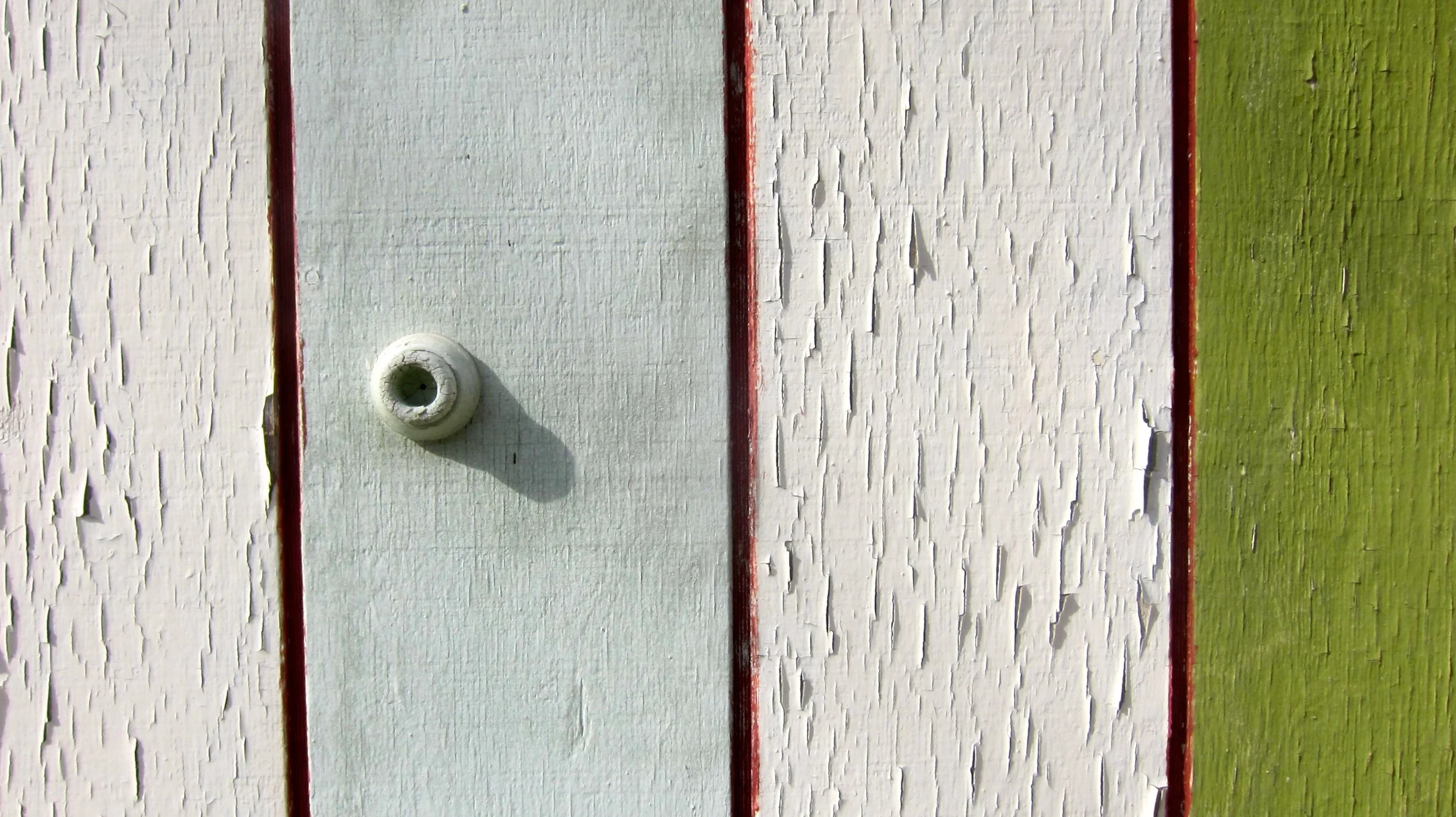 In the Light of this Unlikely World