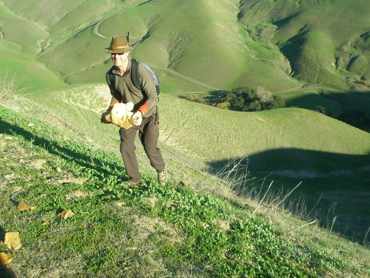 Pausing for&nbsp;a&nbsp;Trundle