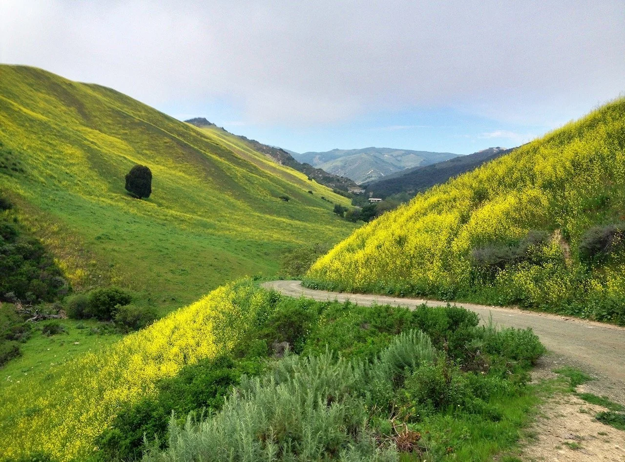 Saturday's Poem: A Time to Talk