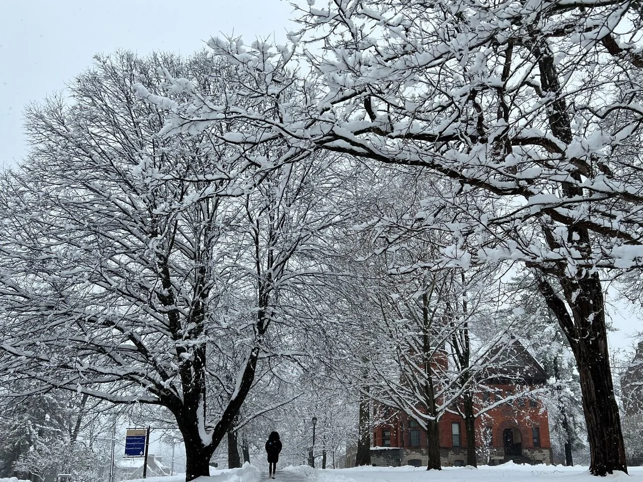 Into a Winter,&nbsp;Long&nbsp;Ago