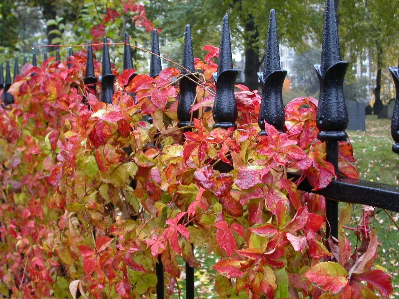 Saturday's Poem: Autumn