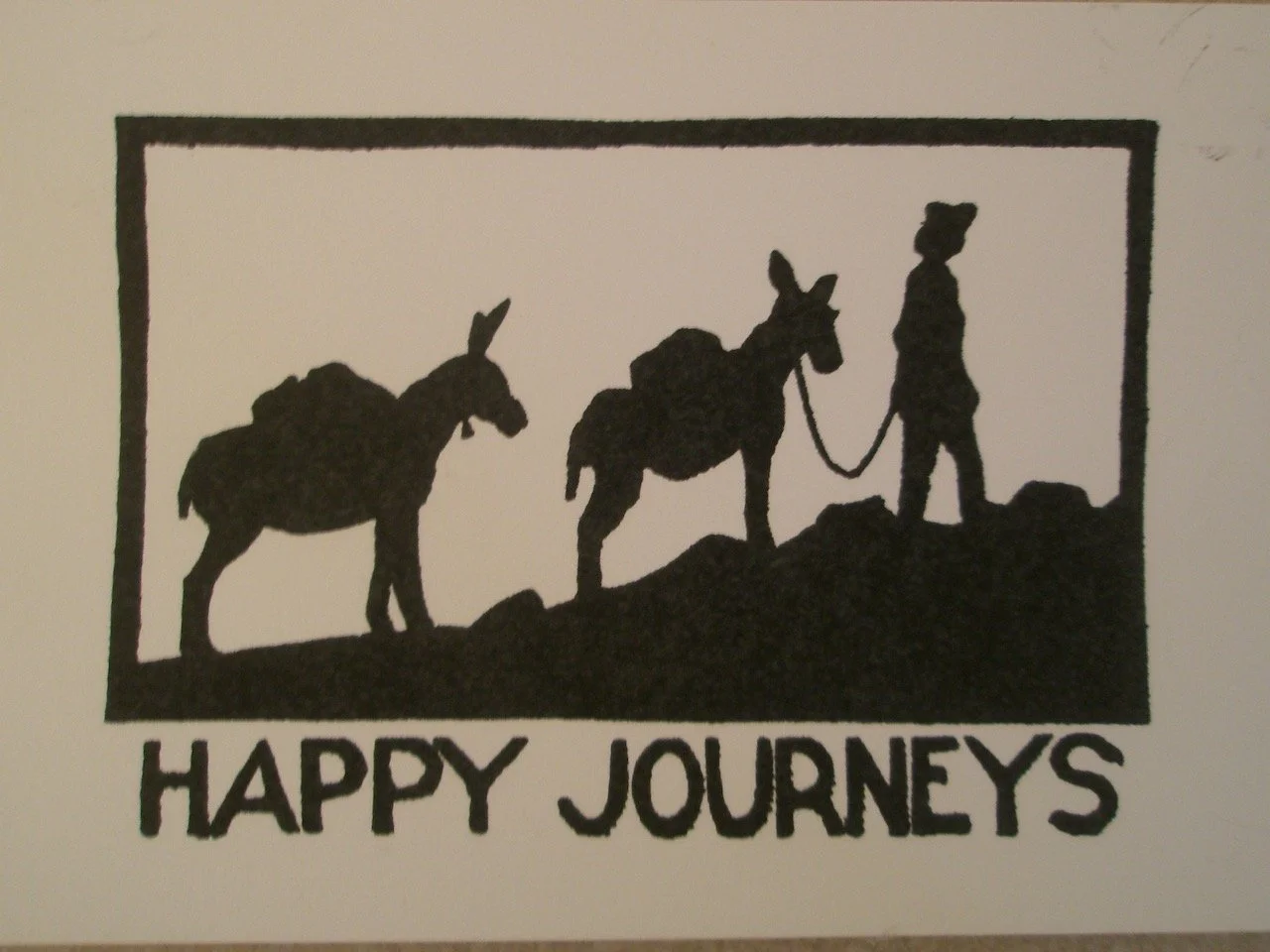 Animal&nbsp;Sightings