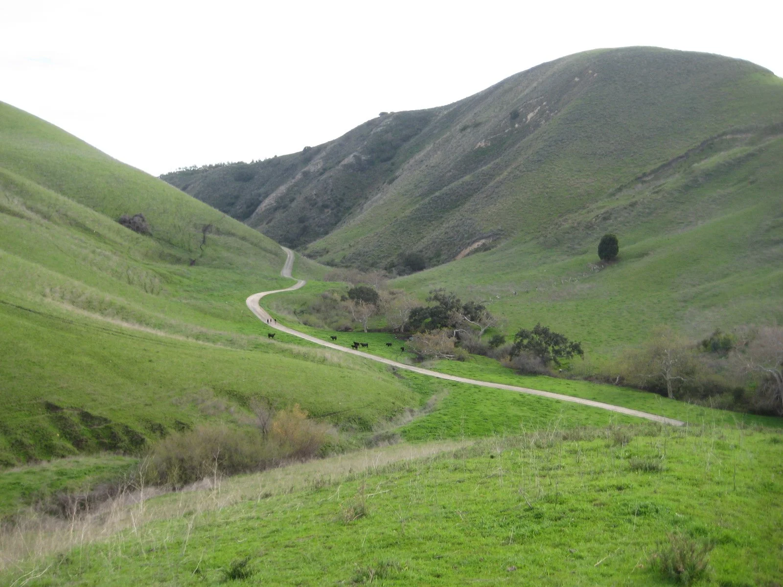 Saturday's Poem: Grass