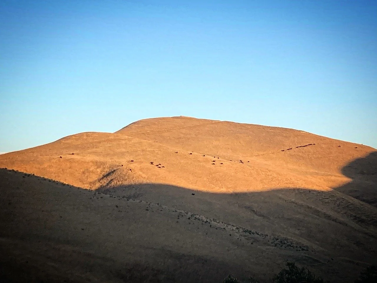 This Is What Happens