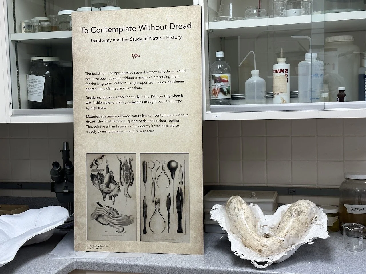 Behind the Scenes With Geeks