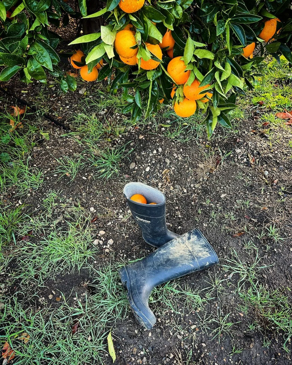 "Some people say I done alright for a girl"