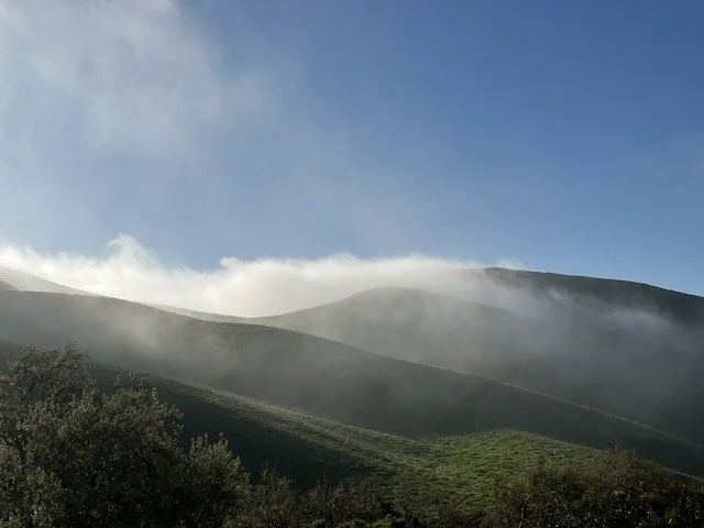 Paper Piles and Files of Words