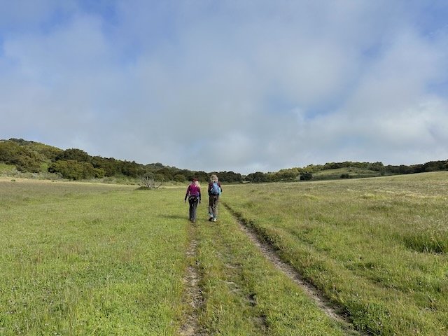 Both Feet on the Earth. Walking