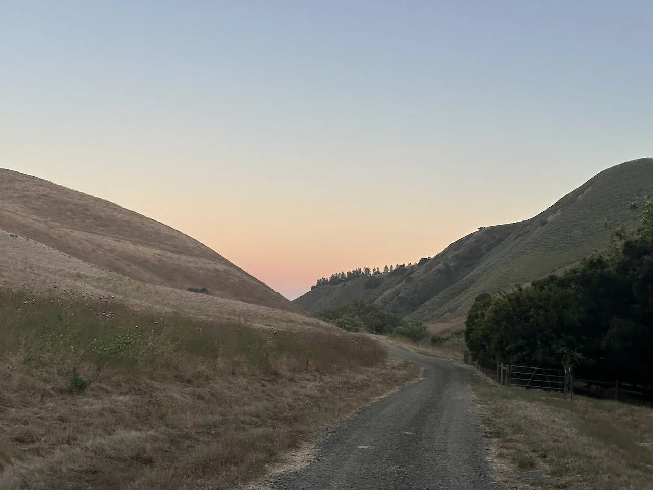 Dancing in a Twilight Zone