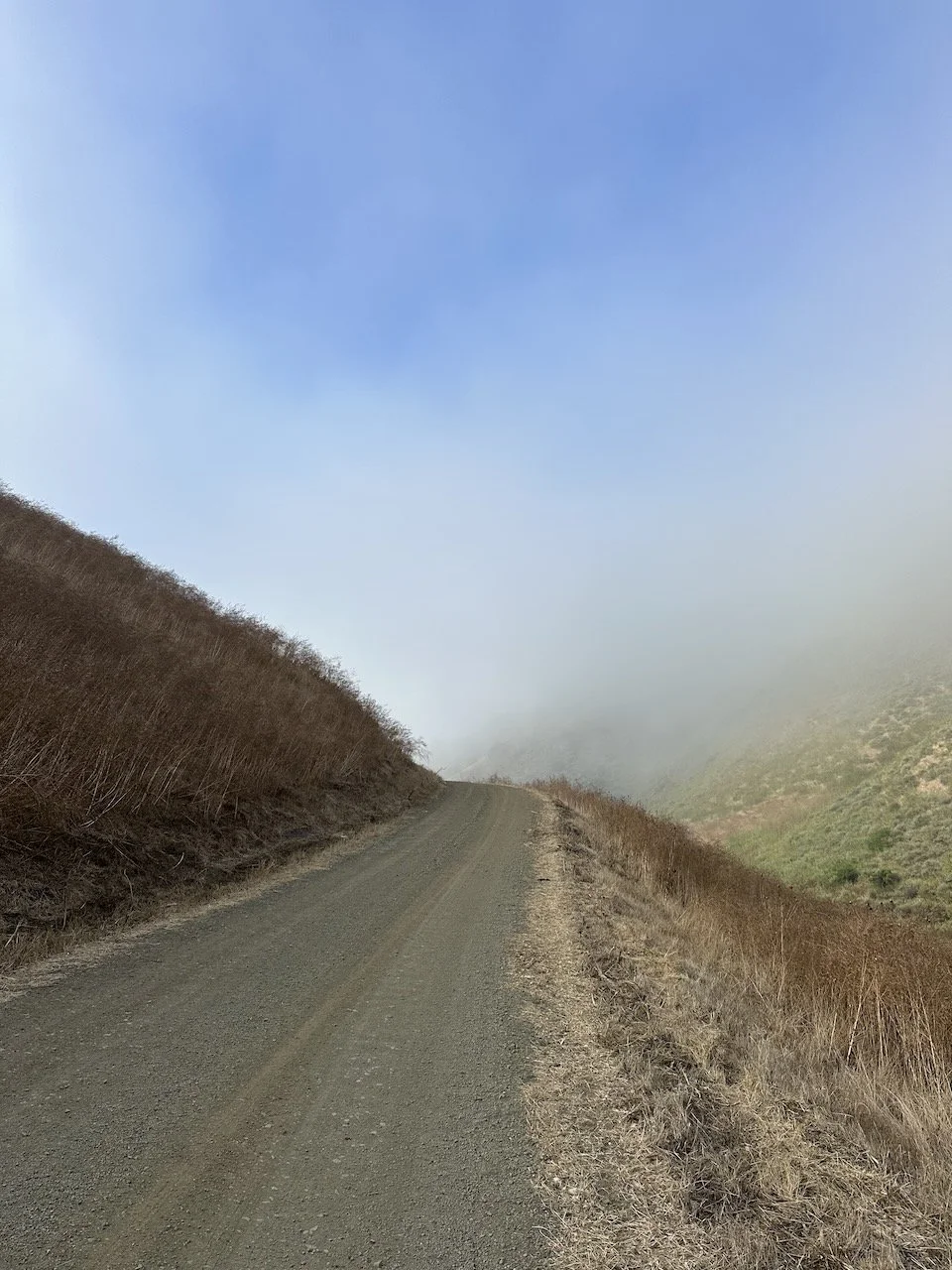 What Thou Must Leave Ere Long