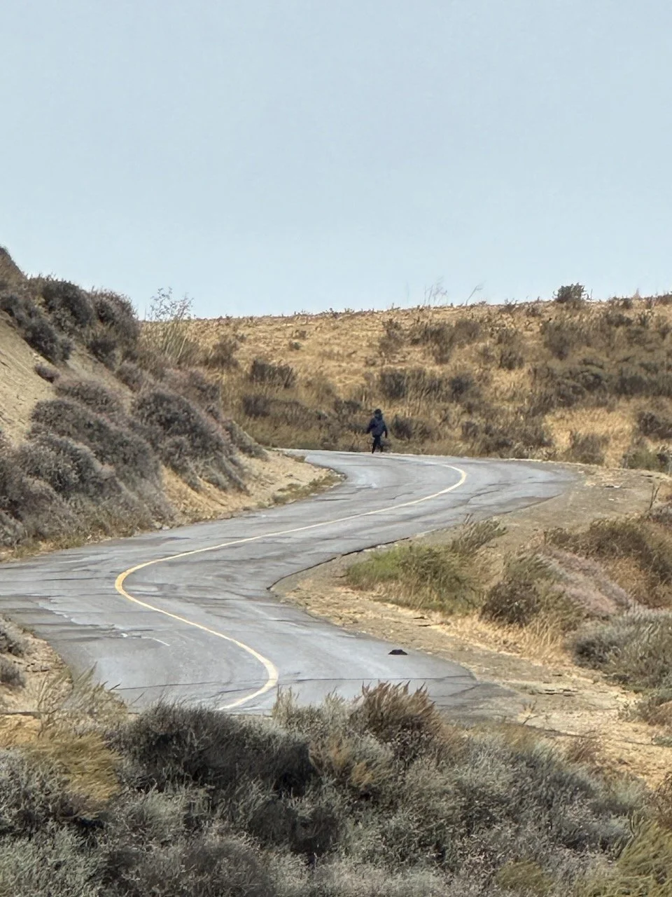 Saturday Morning Walk