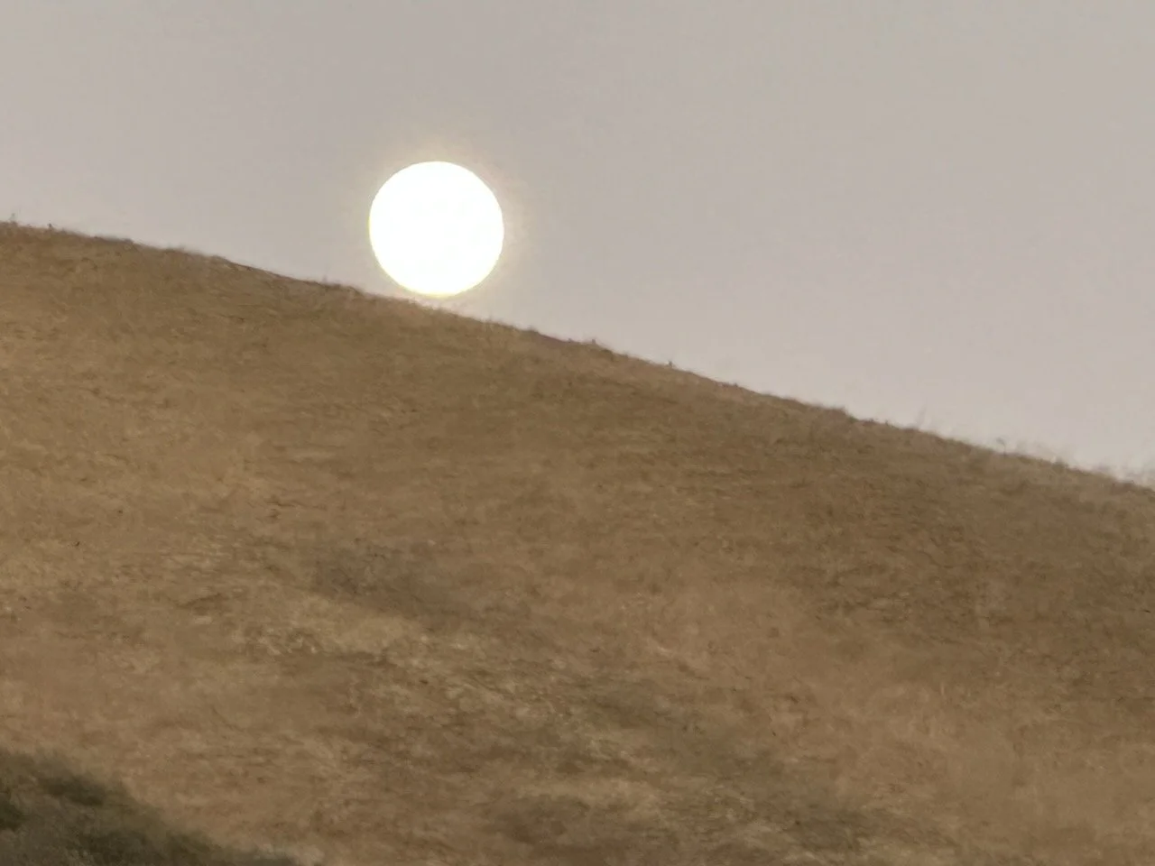 In The Days That Followed