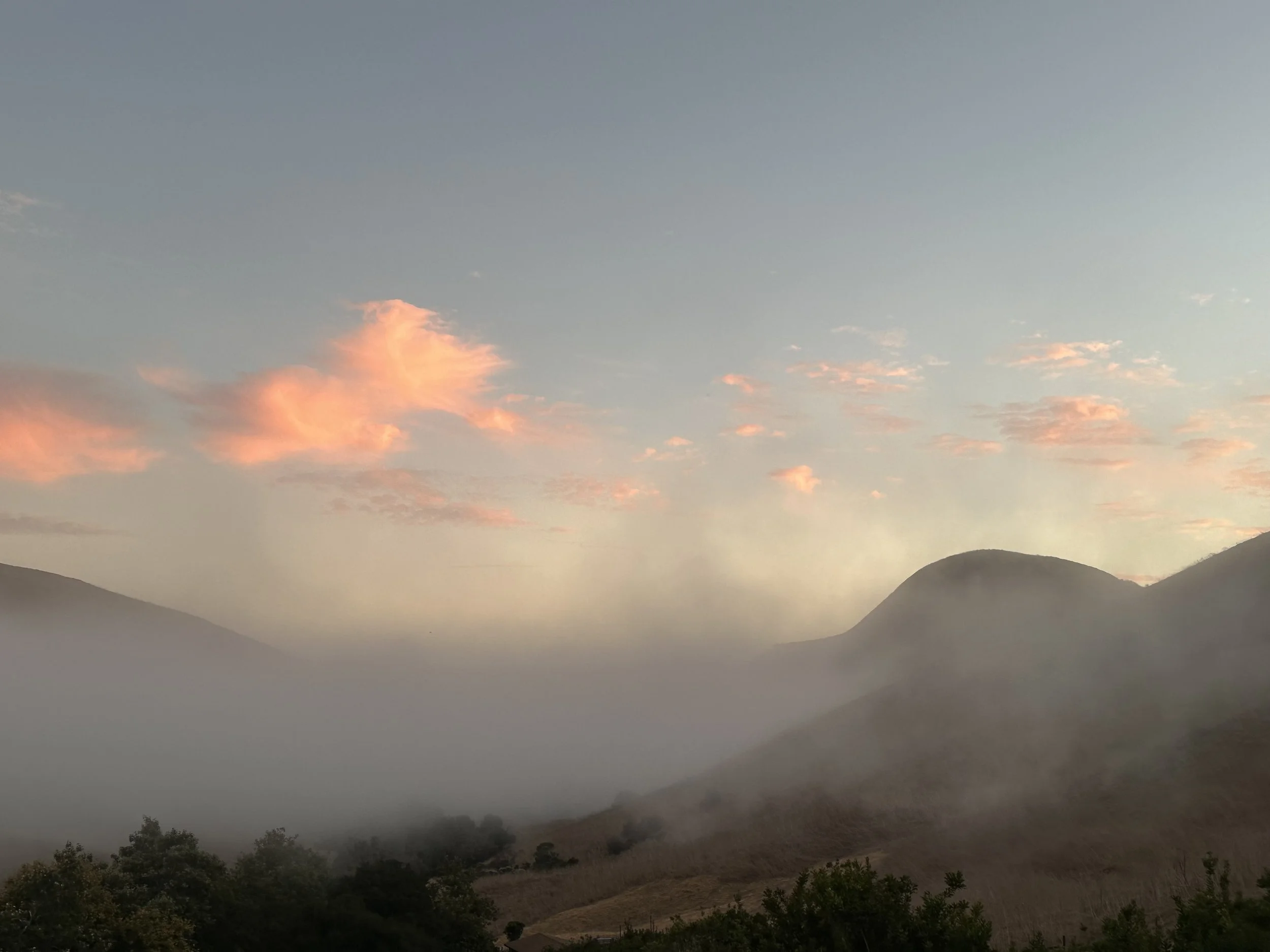 Maybe We Shall Know Each Other Better