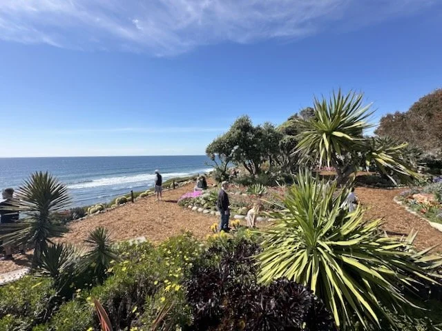 Leaving At A Ferocious Rate