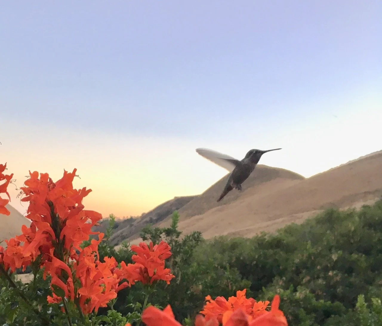 In Motion