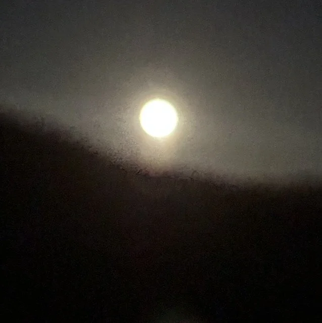 Days of Smoke and Boxes