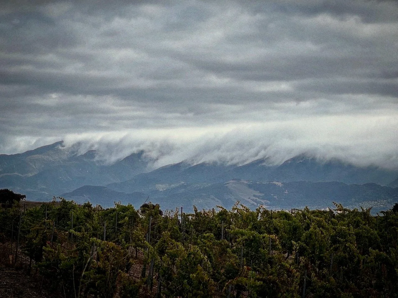 Honey, I’m Here For The Ride