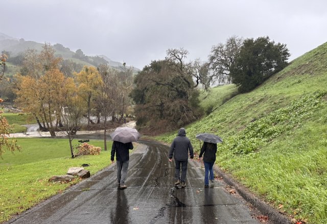 Not Out of Sorrow, But In Wonder