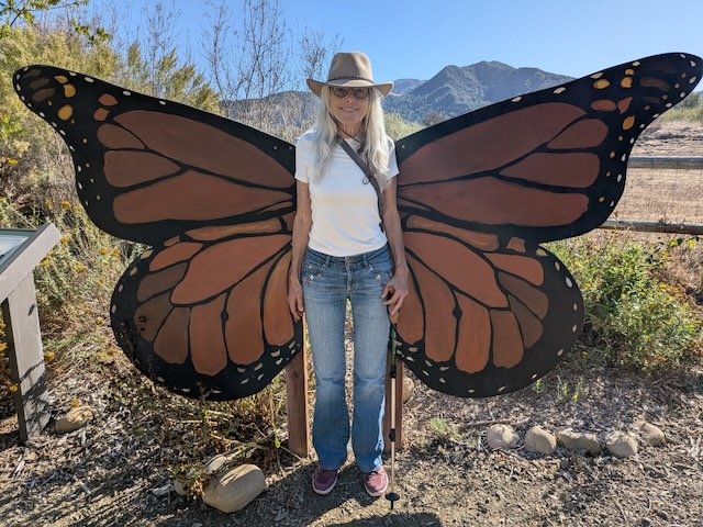 Finding My Wings