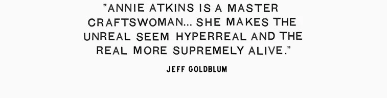 jeff.jpg