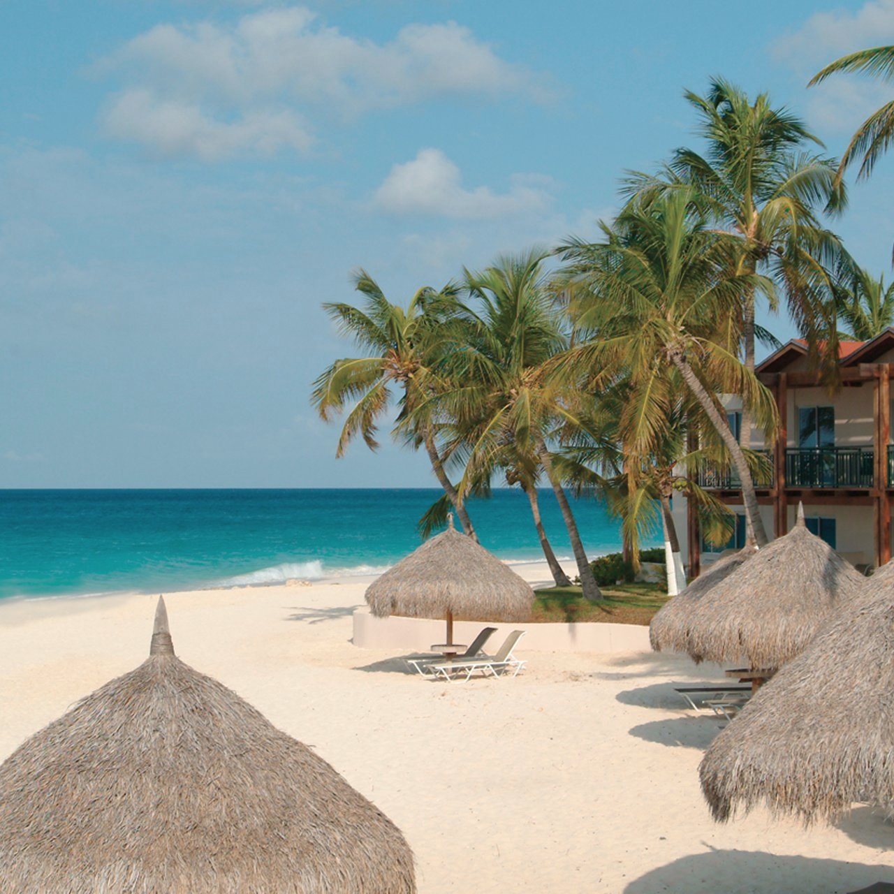Ariba Aruba – Bryllupsreise til Karibien