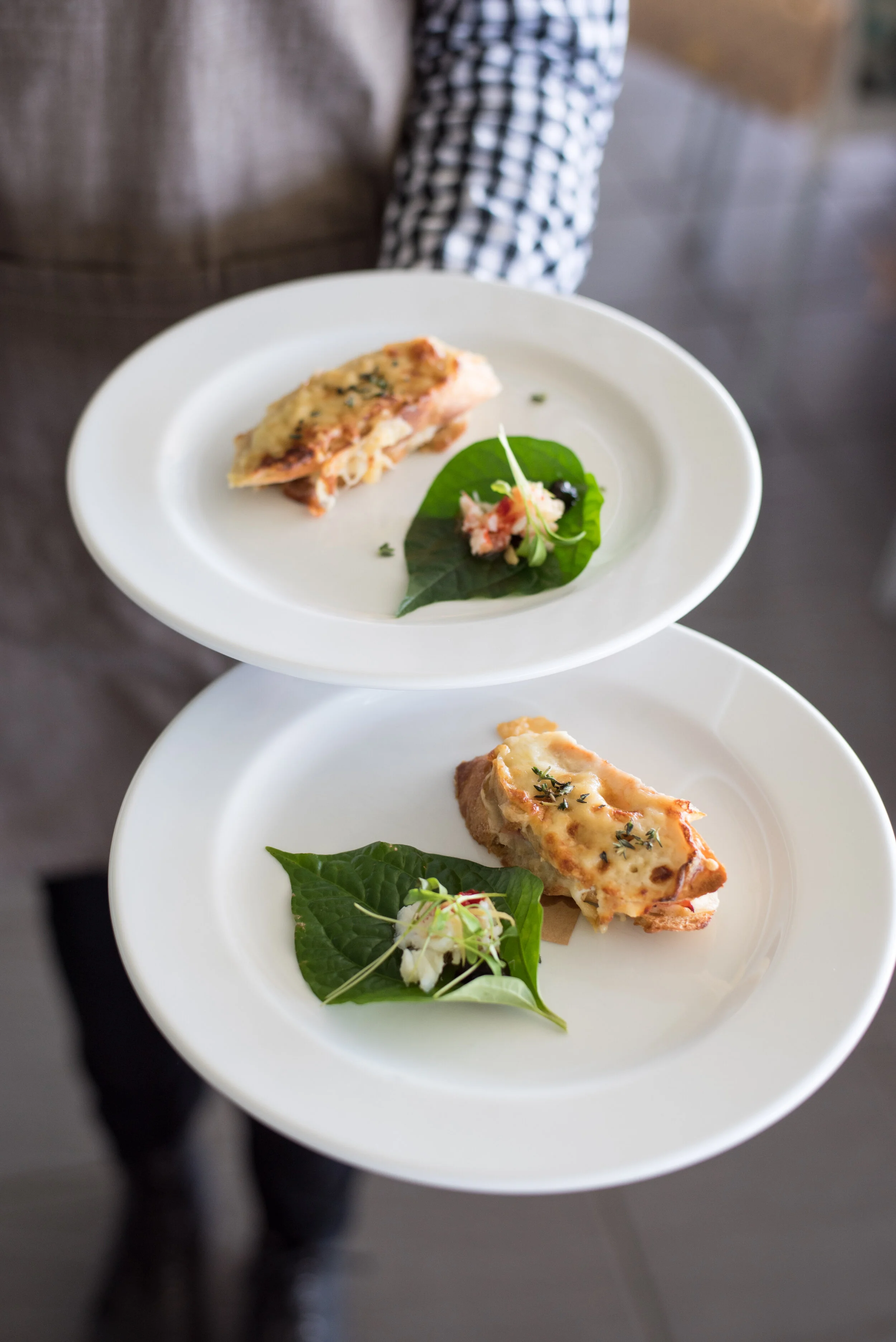 Noosa Chances Race Day-151.jpg