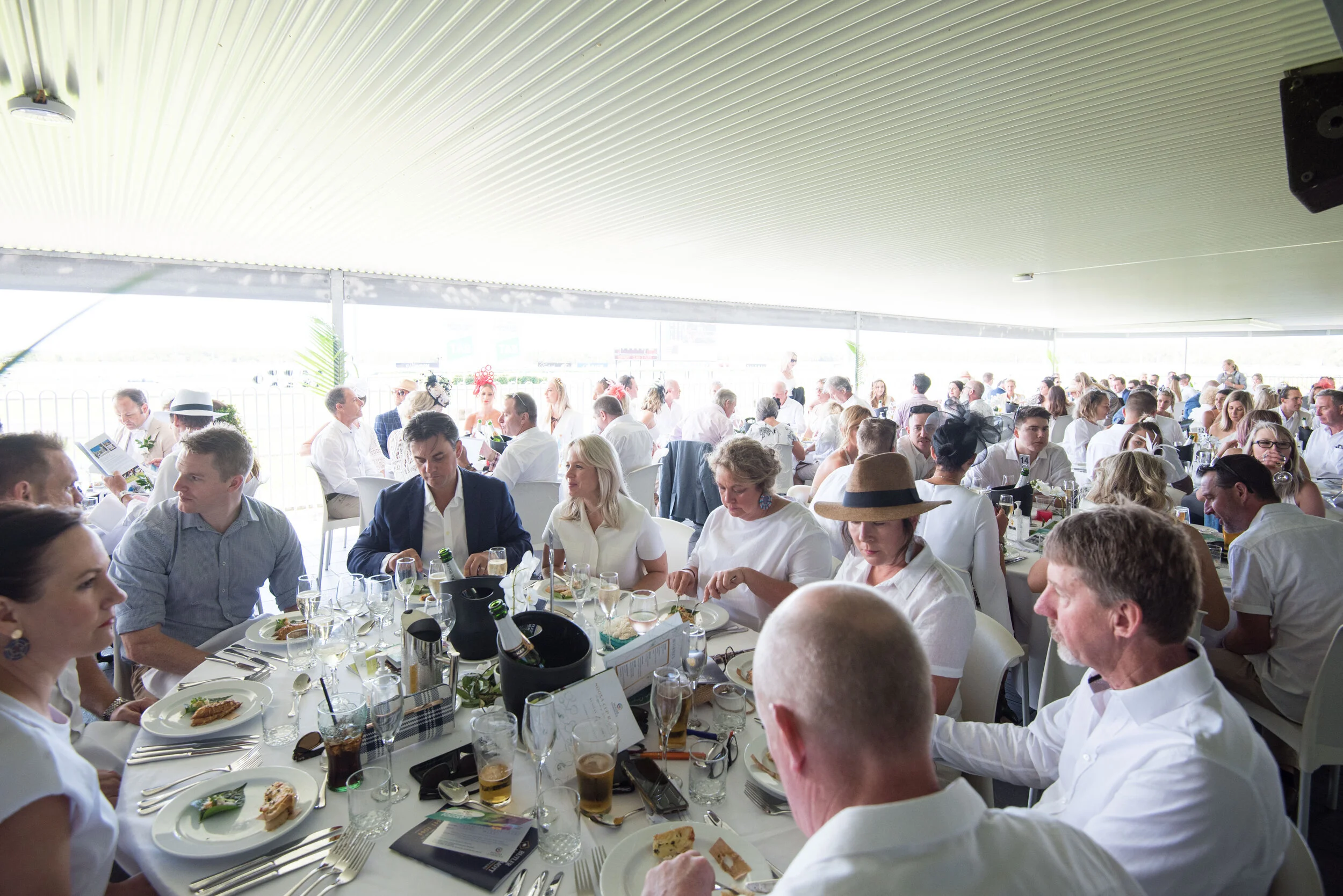 Noosa Chances Race Day-174.jpg
