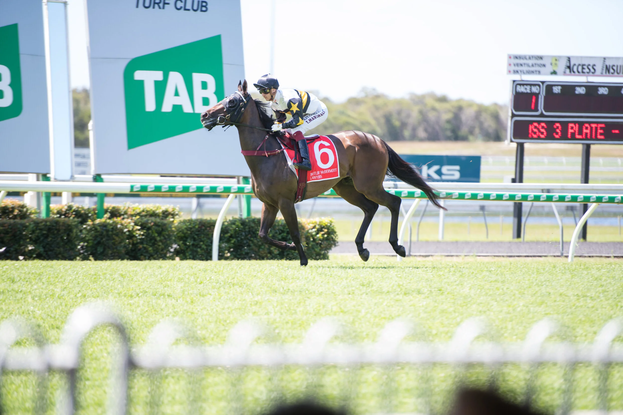 Noosa Chances Race Day-186.jpg
