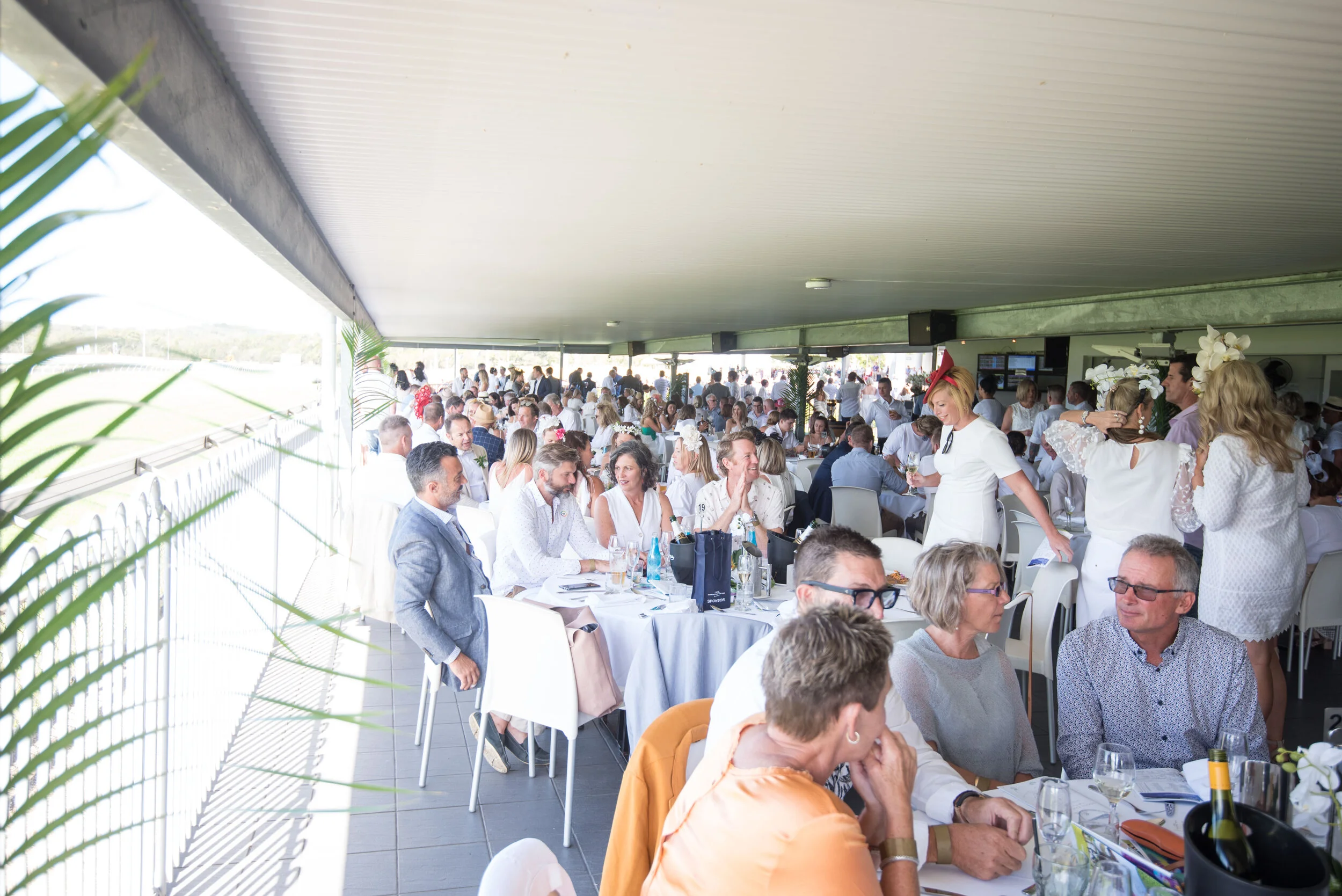 Noosa Chances Race Day-267.jpg