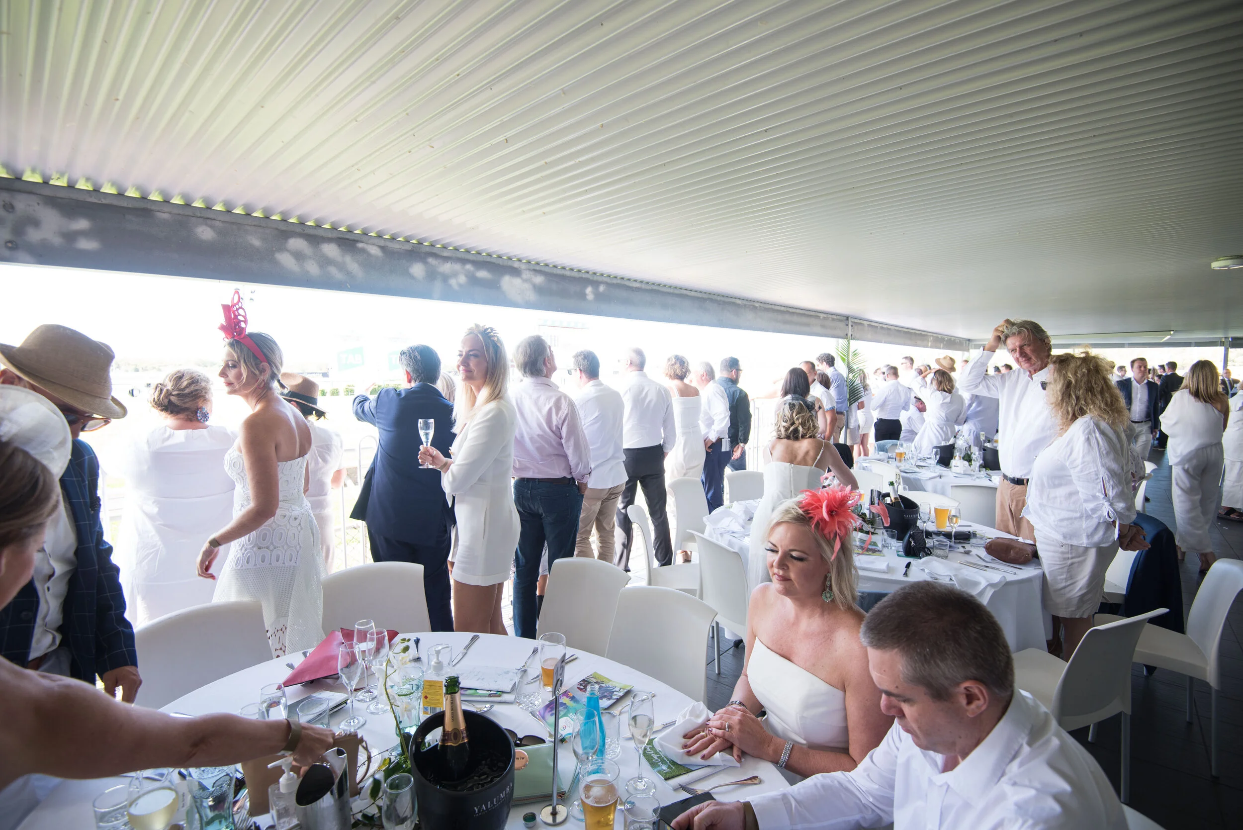 Noosa Chances Race Day-274.jpg