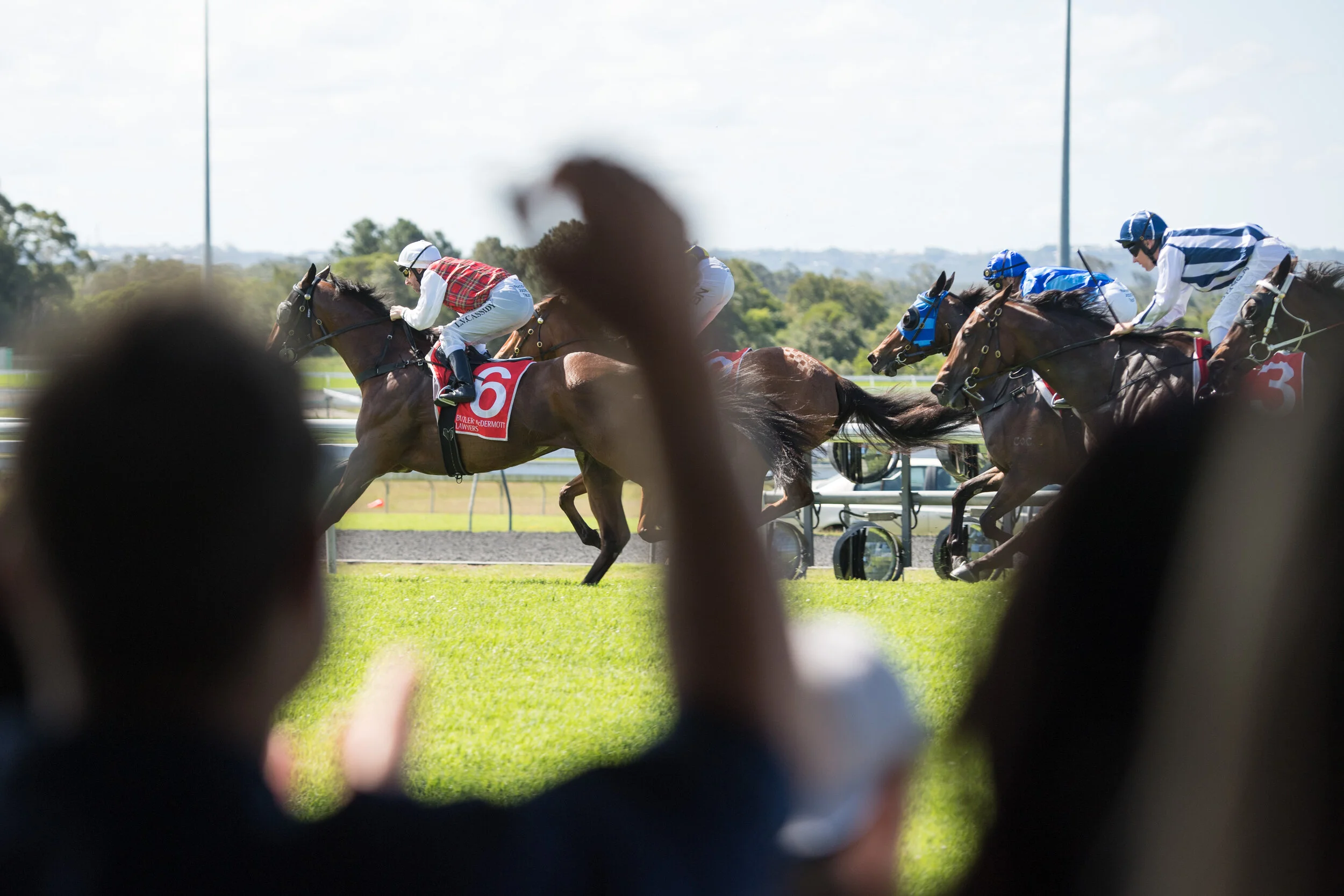 Noosa Chances Race Day-287.jpg