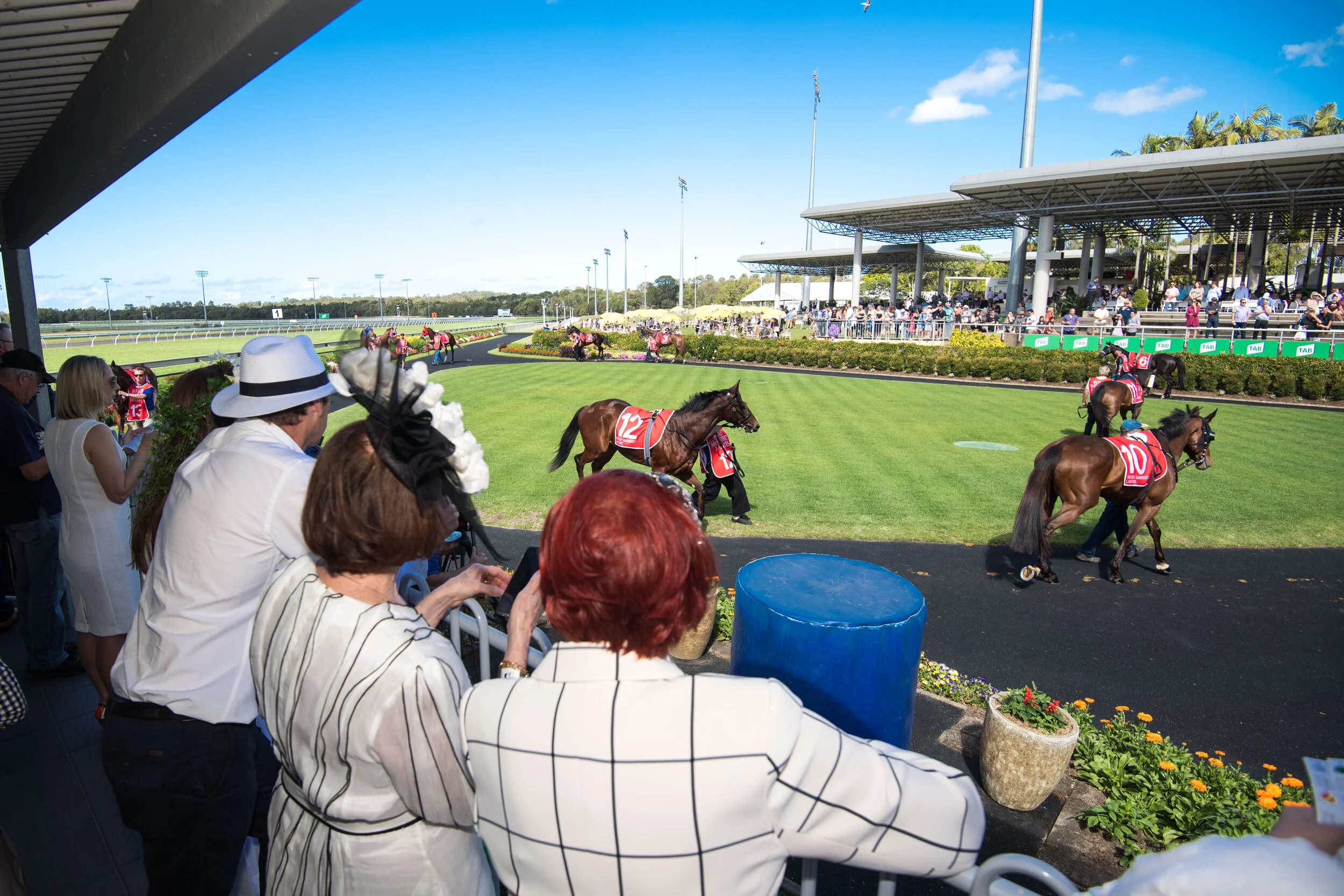 Noosa Chances Race Day-318.jpg