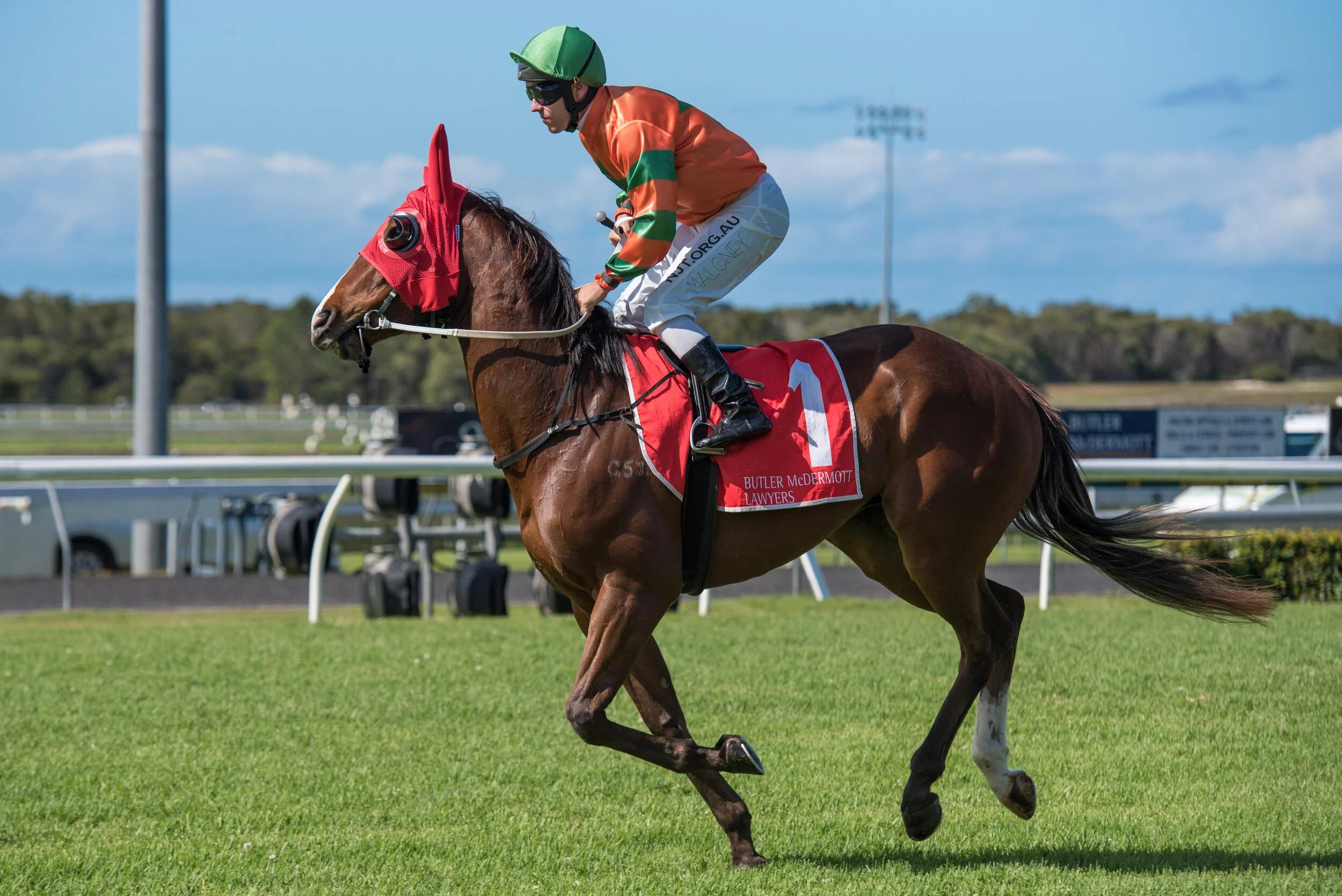 Noosa Chances Race Day-319.jpg
