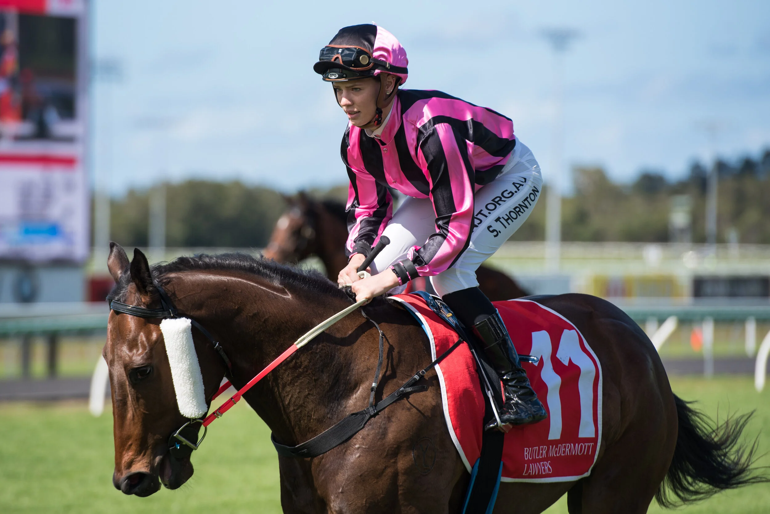 Noosa Chances Race Day-320.jpg