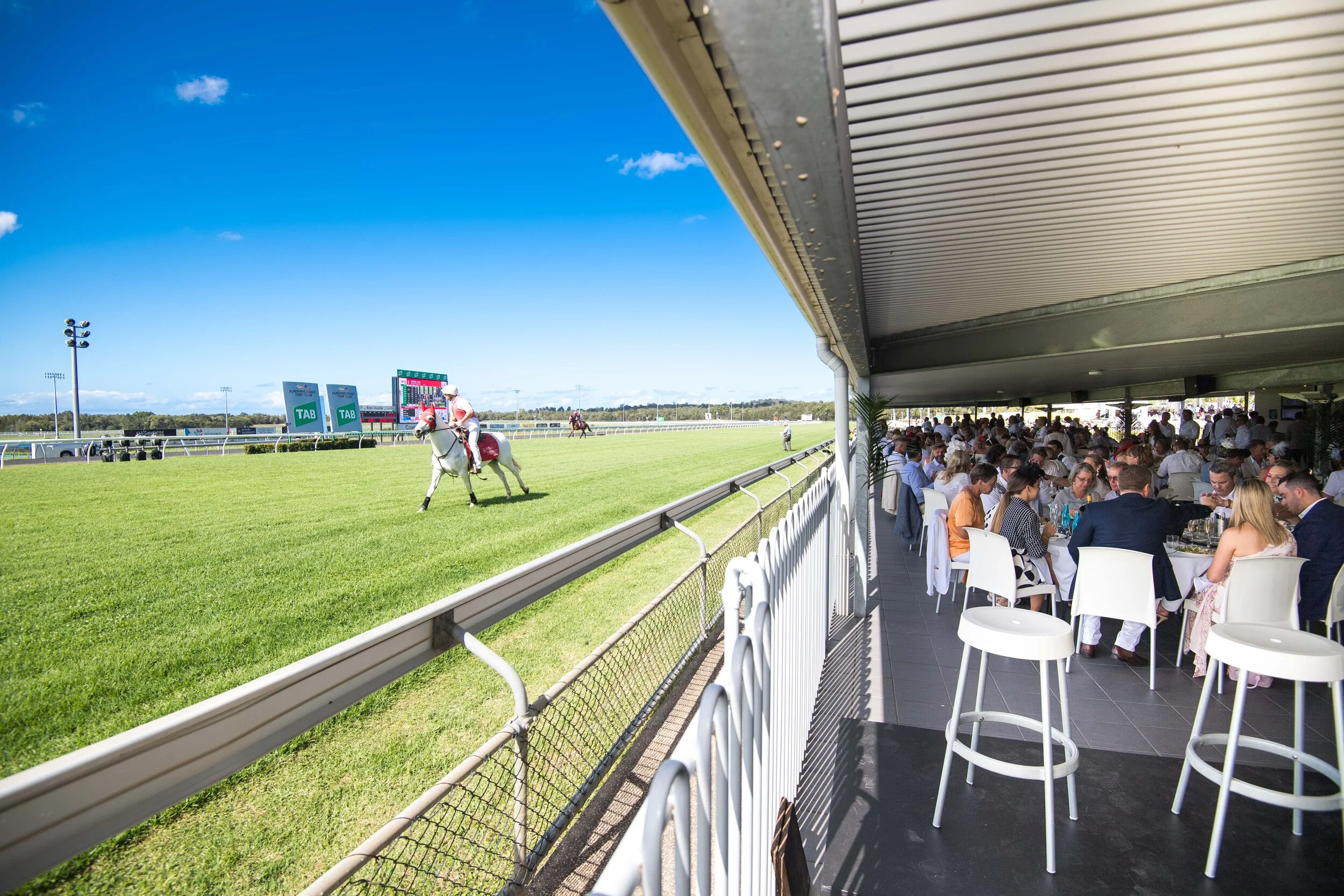 Noosa Chances Race Day-321.jpg