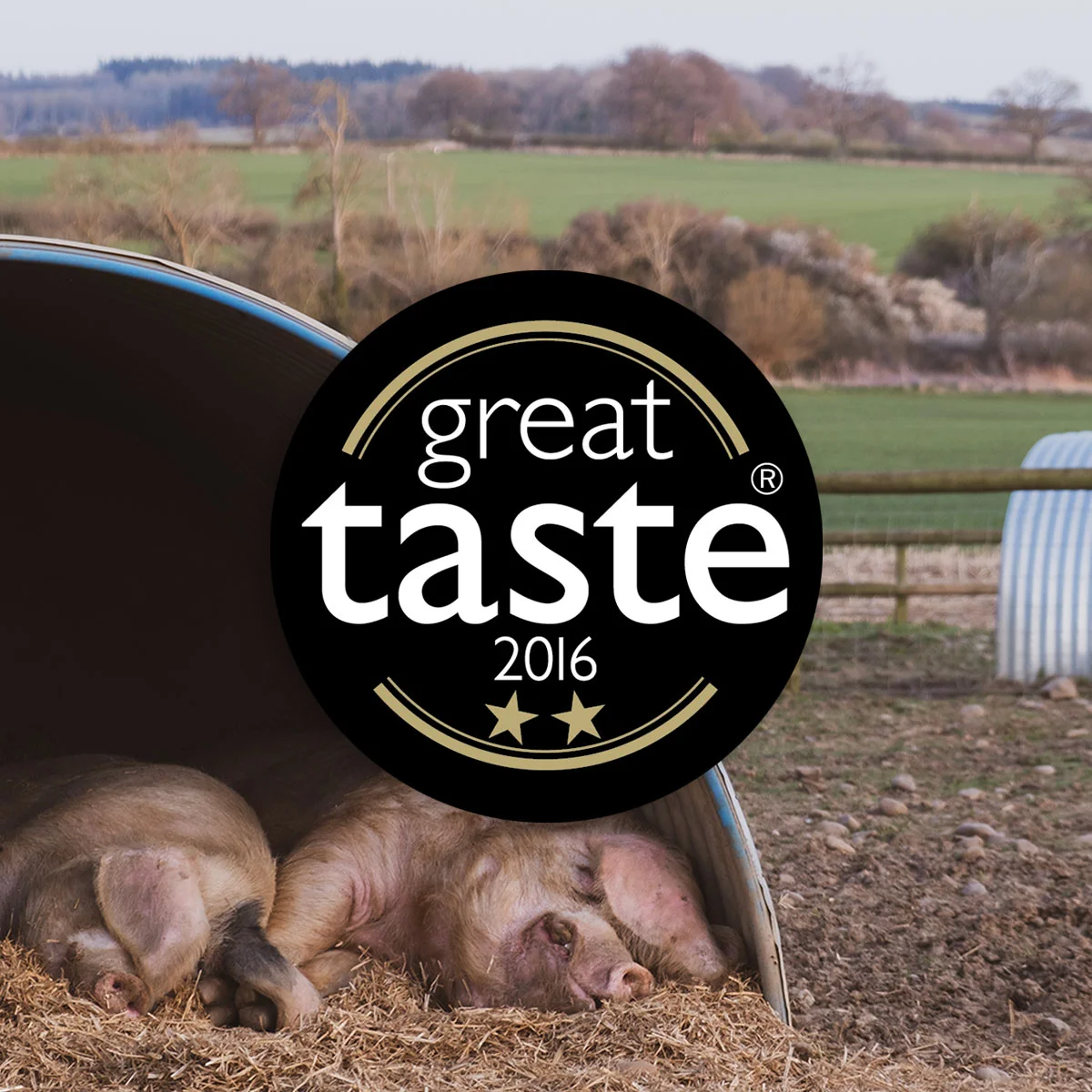 Shop-Pork-2016-2GT.jpg