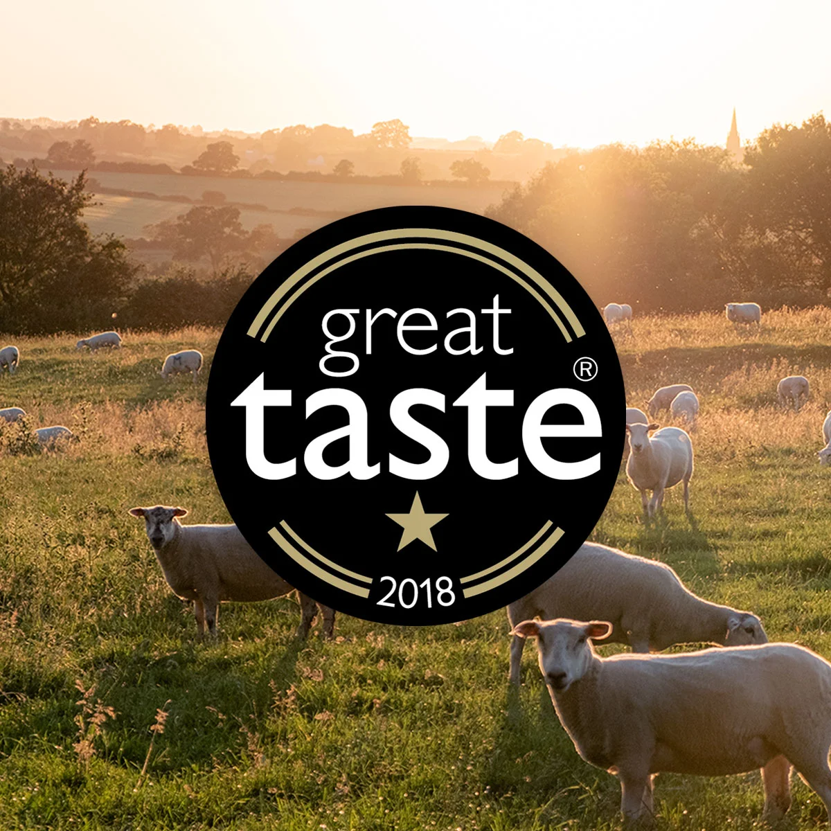 Shop-Lamb-2018-1GT.jpg