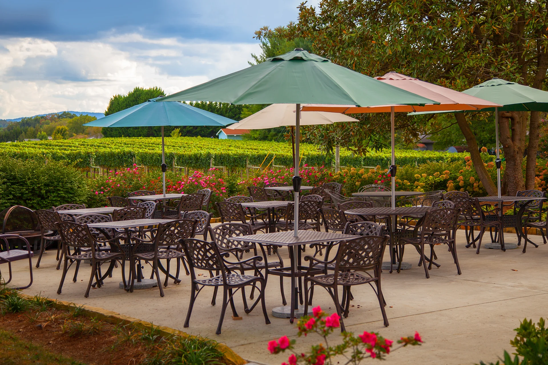 patio.jpg