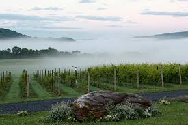 Windham Vineyard & Winery