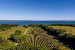 Jamesport Vineyards